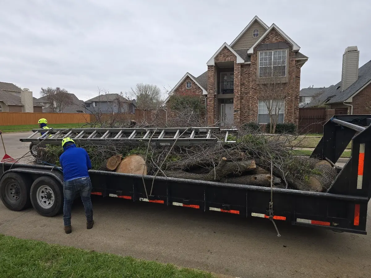 Expert Tree Fertilization with proper safety equipment in Telferner
